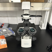VWR VistaVision Inverted Binocular Microscope image 0